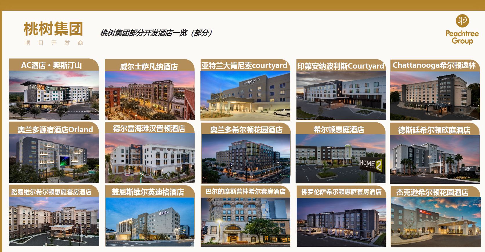 桃树集团的核心业务是其为EB-5项目提供强有力支持的基石，尤其在资金运作、项目开发、风险控制方面