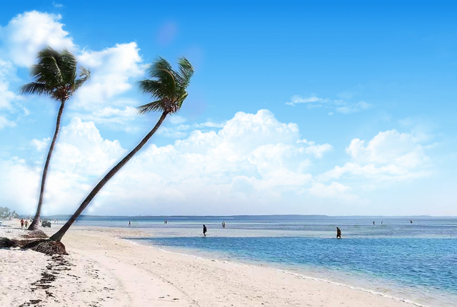 英王室哈里夫妇为何投资多米尼克？