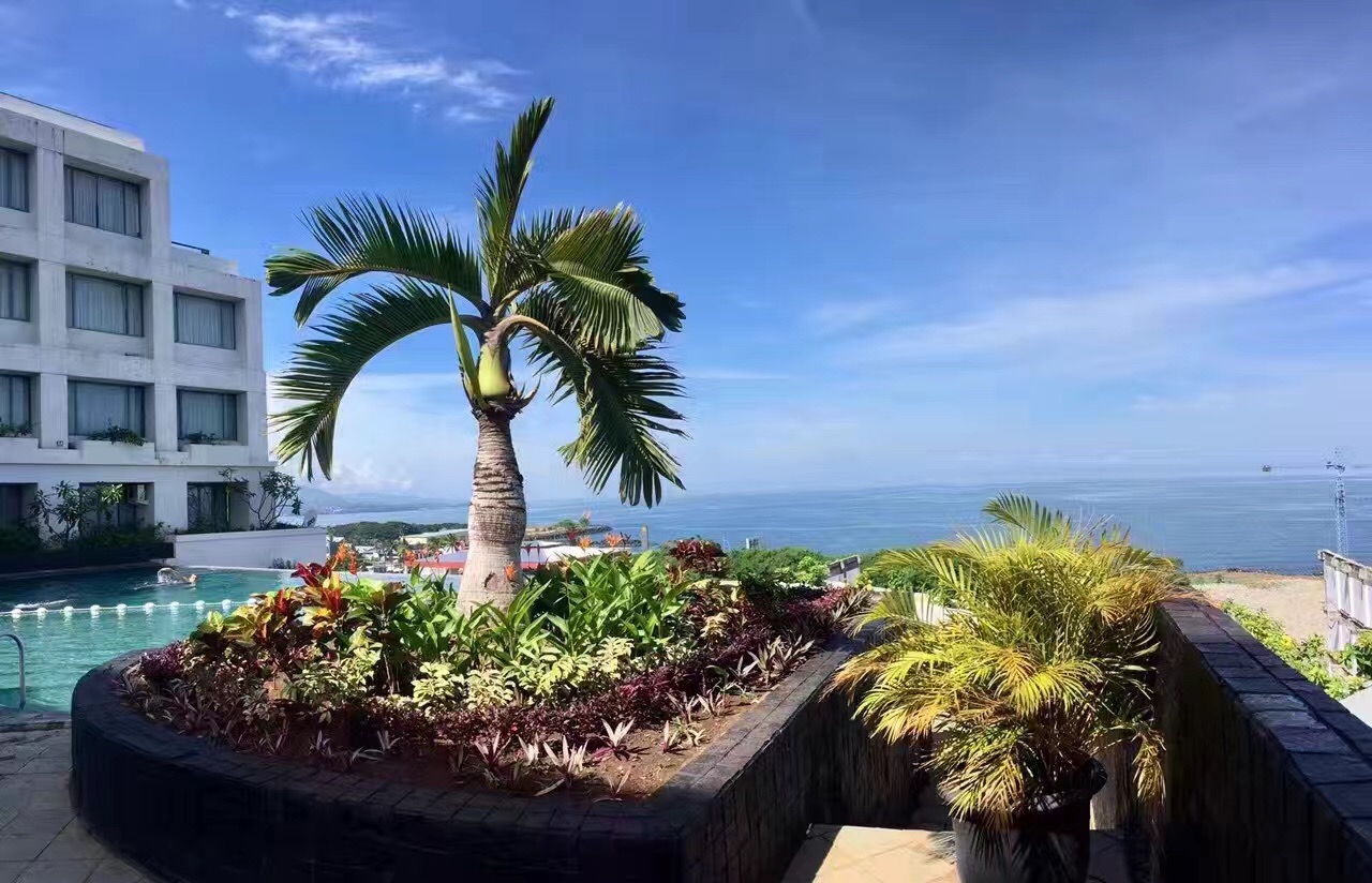 香港优才计划2020政策?2020年香港优才计划指南