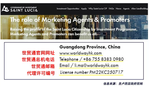 圣卢西亚 “Plan B ”身份计划的隐藏价值！